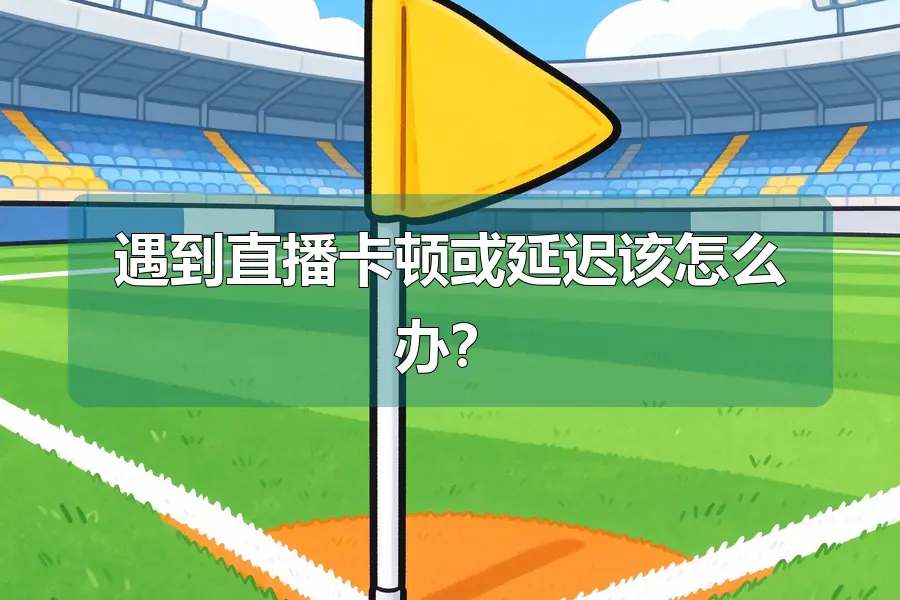 遇到直播卡顿或延迟该怎么办？